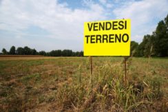 Terreno residenziale a Basialino