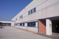 Capannone indipendente industriale con uffici