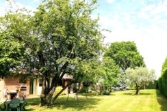 Villa indipendente di pregio