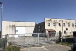 Capannone di 3716mq con anello antincendio