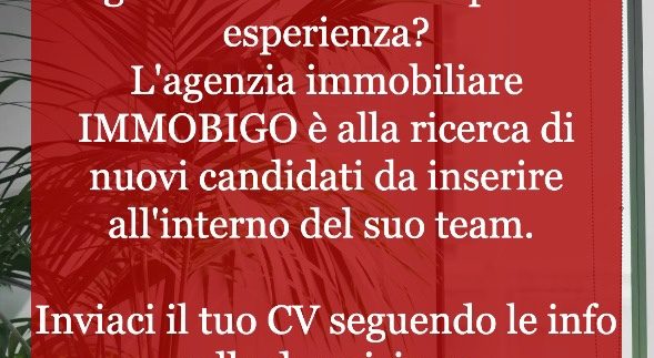 AGENTE IMMOBILIARE ANCHE PRIMA ESPERIENZA PER APERTURA NUOVA FILIALE