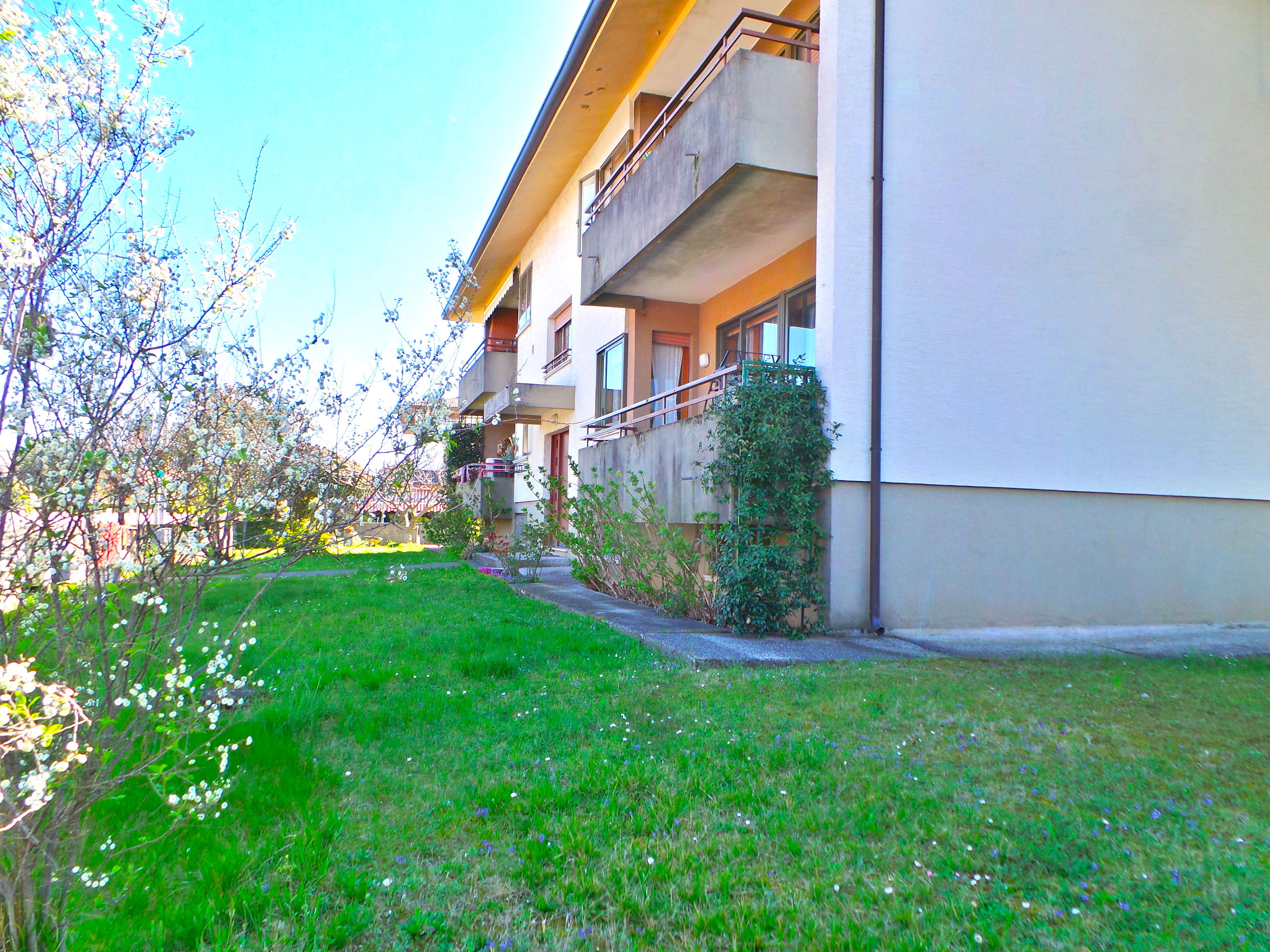 Tricamere con terrazza, garage e cantina