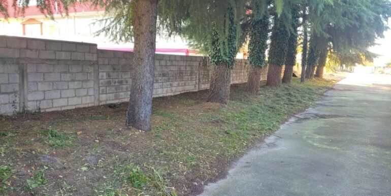 Capannone 1010mq con ampio scoperto