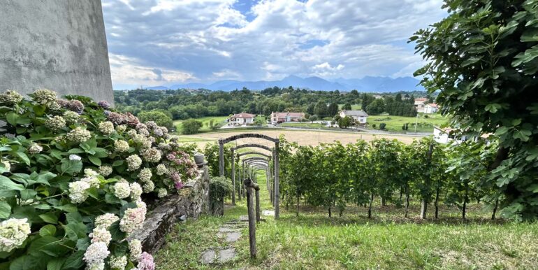 Casale in pietra ristrutturato con vigneto