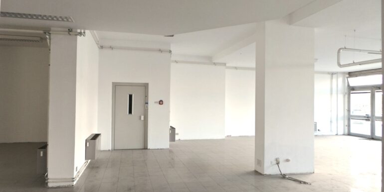 20251107_114916_HDR - dimensioni grandi