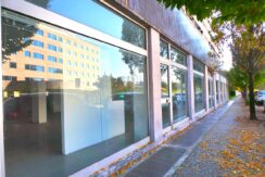 Spazioso negozio con magazzino