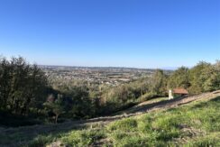 Terreno con vista panoramica immerso nei boschi