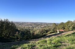 Terreno con vista panoramica immerso nei boschi
