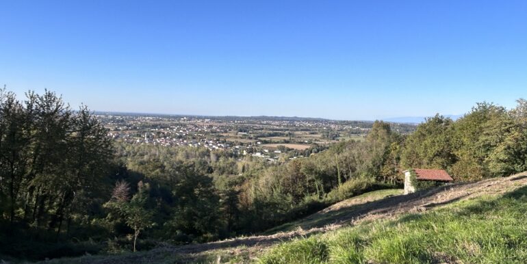Terreno con vista panoramica immerso nei boschi