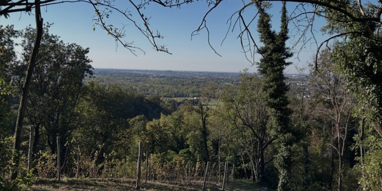 Terreno con vista panoramica immerso nei boschi