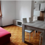 Mini appartamento arredato con garage e cantina