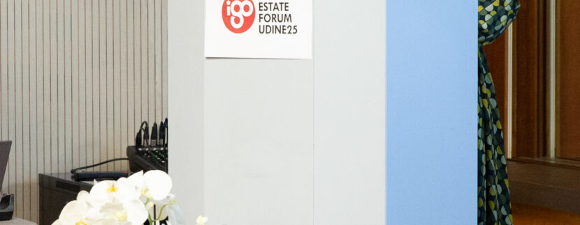 Agevolazioni Fiscali Edilizie 2025: Come Navigare i Cambiamenti per Proteggere il Tuo Investimento Immobiliare a Udine