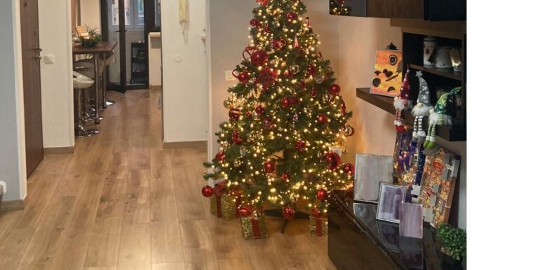 Appartamento bicamere ristrutturato in Viale Europa Unita