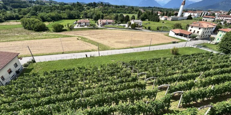 Casa in pietra panoramica con vigneto