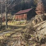 Terreno per villaggio chalet o glamping