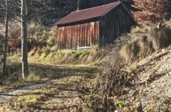 Terreno per villaggio chalet o glamping