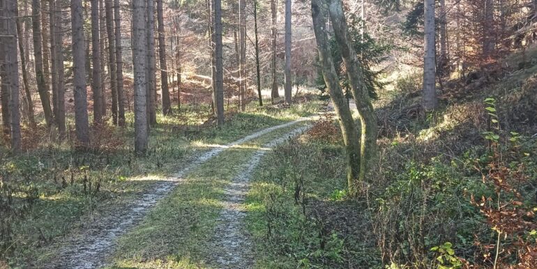 Terreno per villaggio chalet o glamping