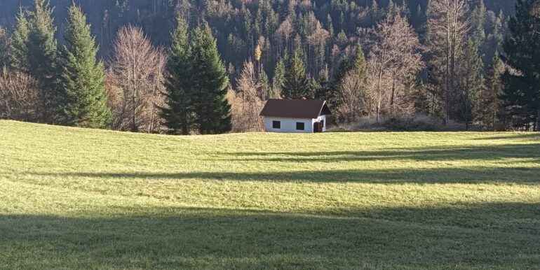 Terreno per villaggio chalet o glamping