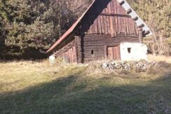 Terreno per villaggio chalet o glamping