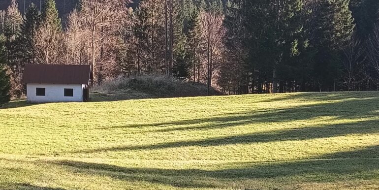 Terreno per villaggio chalet o glamping