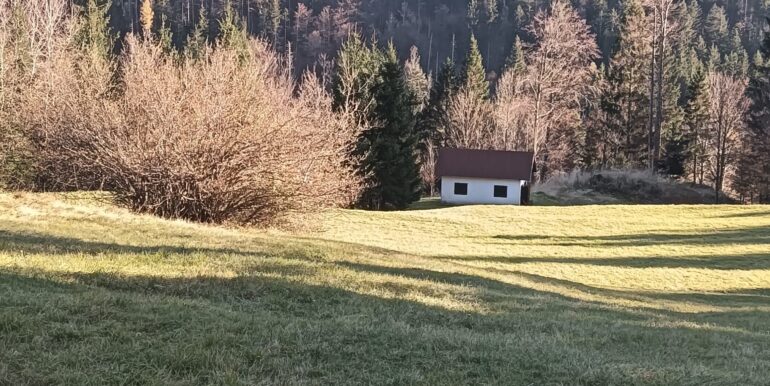 Terreno per villaggio chalet o glamping