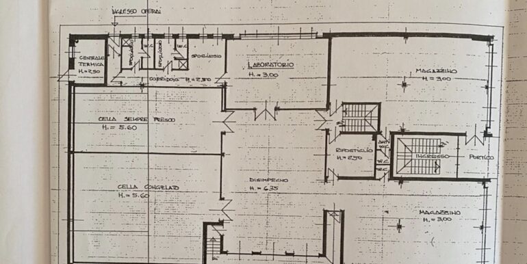 Capannone indipendente con celle frigo