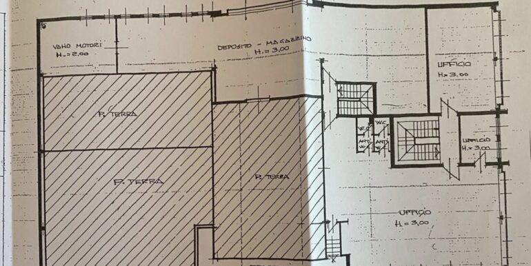 Capannone indipendente con celle frigo