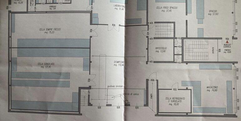 Capannone indipendente con celle frigo