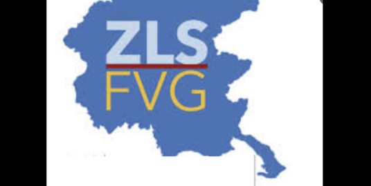 ZLS Friuli Venezia Giulia: fino al 35% di credito d'imposta. La corsa agli investimenti è già aperta