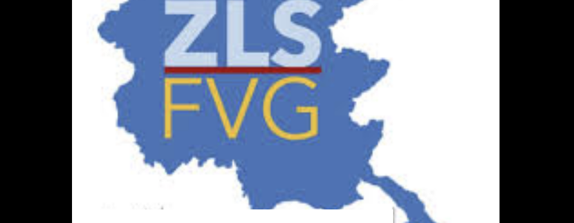 ZLS Friuli Venezia Giulia: fino al 35% di credito d'imposta. La corsa agli investimenti è già aperta