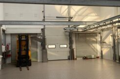 Capannone indipendente con celle frigo