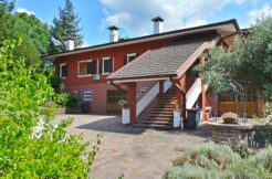 Villa indipendente con vigneto
