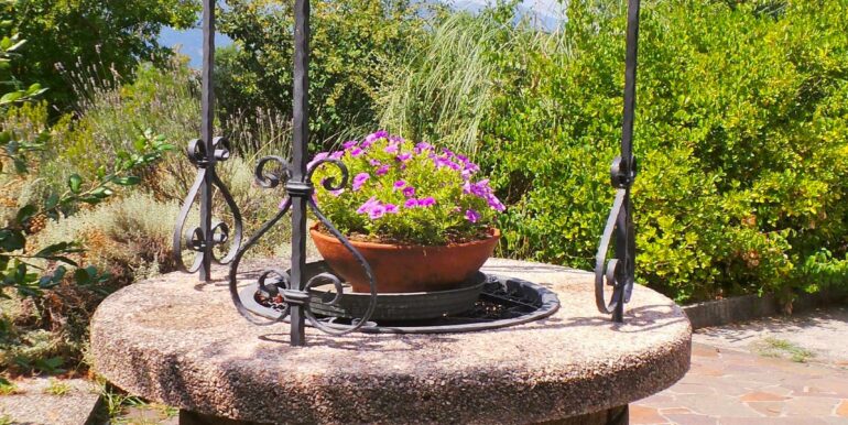Villa indipendente con vigneto