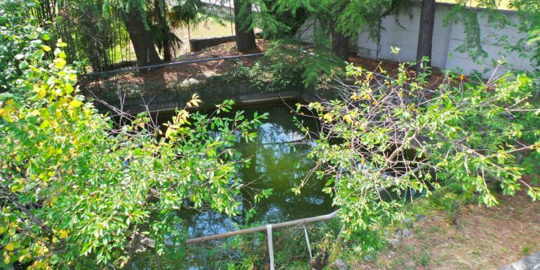Villa indipendente con vigneto