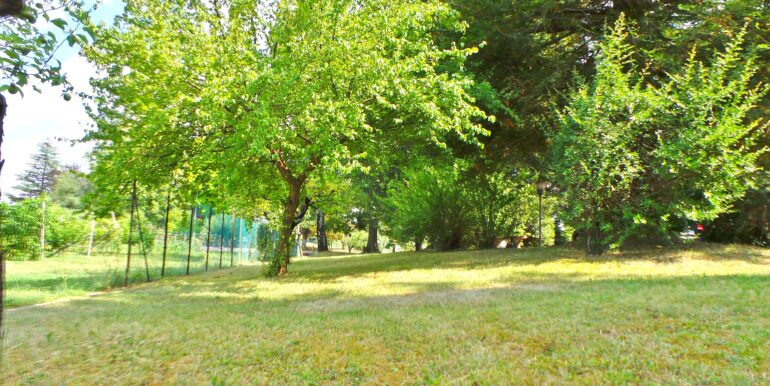 Villa indipendente con vigneto