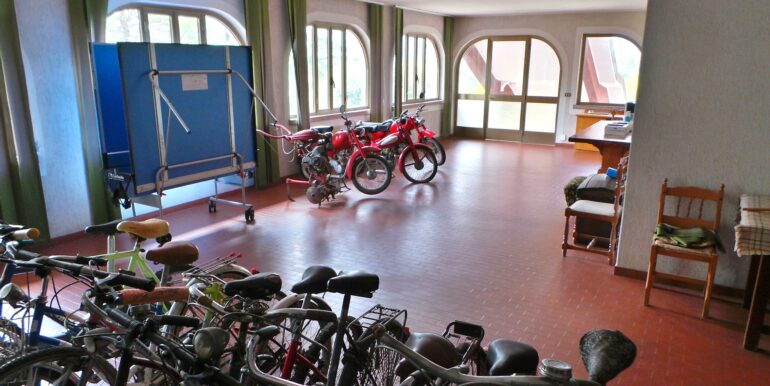 Villa indipendente con vigneto