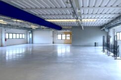 Capannone artigianale/industriale indipendente
