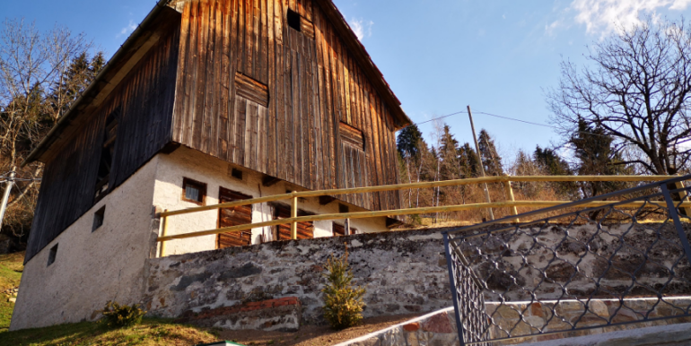 Stavolo ristrutturato a Ravascletto